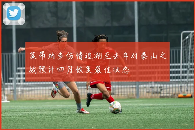 莱昂纳多伤情追溯至去年对泰山之战预计四月恢复最佳状态